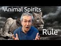 Animal Spirits Rule