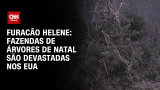 Furacão Helene: Fazendas de árvores de Natal são devastadas nos EUA | CNN PRIME TIME