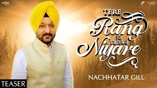Tere Rang Niyare – Teaser | Nachhatar Gill | Gippy Grewal | New Punjabi Songs 2019 | Humble | Saga