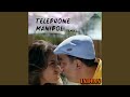 Telephone Manipol Remix (From 