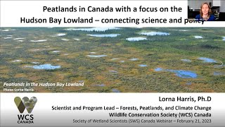 Canada Chapter Webinar - Peatlands in Canada with a Focus on the Hudson Bay Lowland