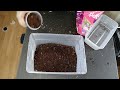 how to make bioactive terrarium substrate