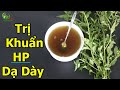 CÂY RAU MƯƠNG -Thần Dược Diệt Sạch VI KHUẨN HP do Viêm Loét  Dạ Dày Chỉ Trong 10 Ngày