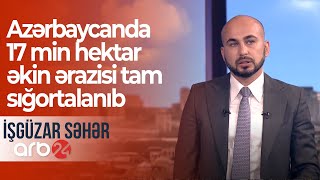 Azərbaycanda 17 min hektar əkin ərazisi tam sığortalanıb – İşgüzar səhər