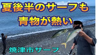 焼津石津浜のショアジギングで青物釣りを楽しもう！[静岡県焼津市　釣り]