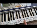 CASIO LK-110 KEY LIGHTING SYSTEM demo.