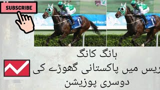 Pakistani Horse 2nd position in Hong Kong
