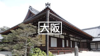 關西Osaka.Kyoto.Nara｜櫻花季的野餐.金閣寺.花見小路.一日逛不完的京都神社之旅(晴明/八坂/稻荷).奈良的鹿