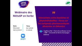 Webinaire 22 : Interactions entre bactéries et phytométabolites : Focus sur l'alkannine et shikonine