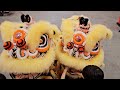 新加坡威義體育會 singapore wee ghee lion dance performances at 韮菜芭城隍庙 11 02 24