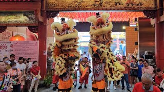 新加坡威義體育會 Singapore Wee Ghee Lion Dance Performances at 韮菜芭城隍庙 11/02/24