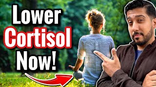 Forest Bathing LOWERS Cortisol in 3 Ways | BEST Explanation of Forest Bathing