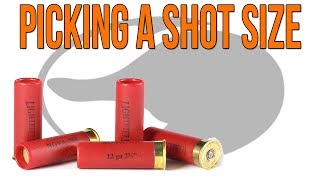 What Shot Size To Use For Ducks And Geese | Waterfowl Wednesday