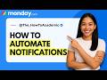 How to Automate Notifications in monday.com [Quick Guide]