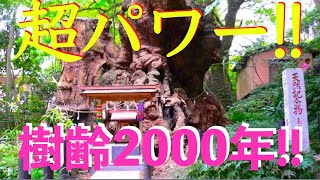 超絶パワースポット神社参拝！熱海大社 來宮稲荷社:弁財天:三峯神社: 樹齢2000年！日本最大級の大楠を見にいく！