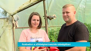 Szabadon a zöldségtermesztés rabságában – Mozaik