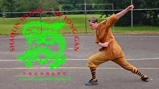 Wushu Nanquan 16 Form - 2 | He Yong Gan Martial Arts