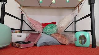 Make It Over: How to Create a Hangout Space Under Your Bed