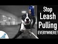 How To Teach Your Dog Not To Pull On The Leash, EVER!