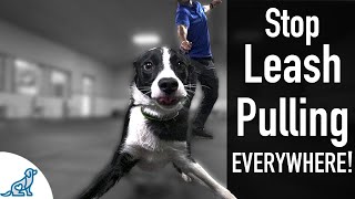 How To Teach Your Dog Not To Pull On The Leash, EVER!