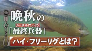 【ハイフリーリグとは？】秋の増水リザーバー攻略in室生ダム