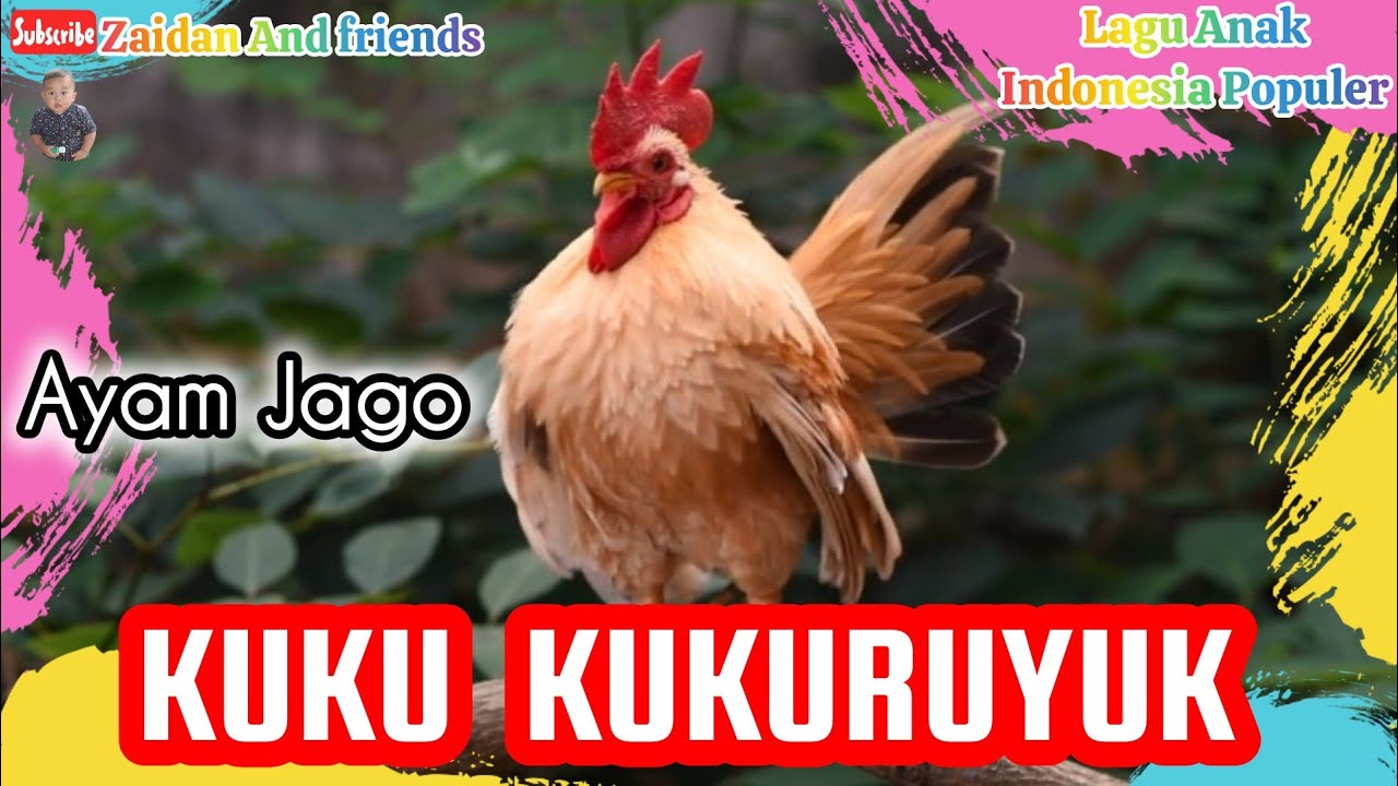 🟢 LAGU ANAK KUKU KUKURUYUK - Lagu Ayam Jago - Lagu Anak Anak - Lagu ...