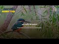 أذكار الصباح راحة نفسية لا توصف بصوت القارئ علاء عقل morning athkar dzkir pagi by alaa aql