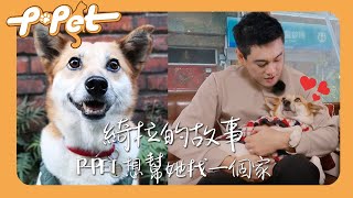 【P-Pet】EP2  綺拉的故事 我們想幫她找一個家 ｜孝天父愛大噴發!! ｜浪浪別哭