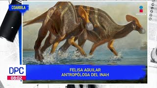 Científicos descubren restos de nueva especie de dinosaurio | De Pisa y Corre