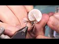 fly tying the original endrick spider with martyn white