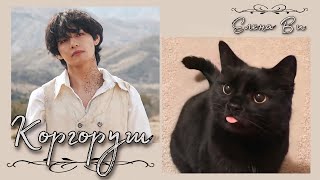 Озвучка фанфика Коргоруш (вигуки)│BTS│Елена Ви