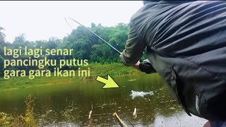 Dikira ikan kecil ternyata ikan besar‼️ spot yang jarang terjamah pemancing|| Ep.20 |D'mancing gokil