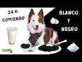 24 Horas comiendo BLANCO y NEGRO / Mel