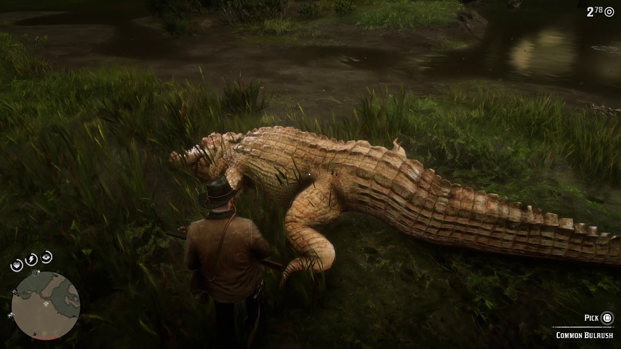 Red Dead Redemption 2 Legendary Alligator Map