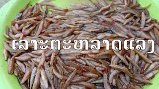 เลาะตลาดหาชื้แนวกินยามแลง/ເລາະຕະຫຼາດຊື້ກິນຍາມແລງ