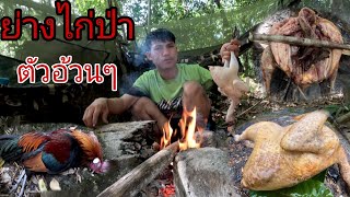 ย่างไก่ป่าที่หามาได้/ຢ່າງໄກ່ປ່າທີຫາມາໄດ້