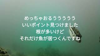 2023.9.16 #鎌倉材木座海岸　キタマクラに囲まれ、カワハギの群れに出会いました　#水中映像　#釣り