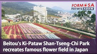 Beitou’s Ki-Pataw Shan-Tseng-Chi Park recreates famous flower field in Japan｜Taiwan News