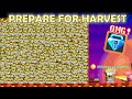 HOW TO PREPARE FOR HARVEST FESTIVAL 2023!! (PROFIT BGL) OMG!! | GrowTopia