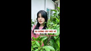 50 giống cây độc - lạ mới về Hoàng Long Garden