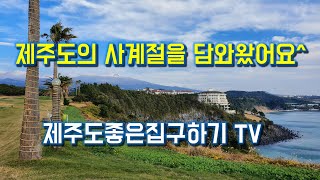 아름다운 제주의 사계절