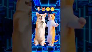 Super Dog and Cat Dj Dance 😻🐕😁 #shorts #viralvideo #catdance #dogdance #puppy