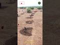 This is how they convert Barren Land to Green Oasis