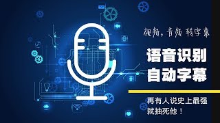 视频+音频语音自动识别与自动生成字幕并翻译成多国语言