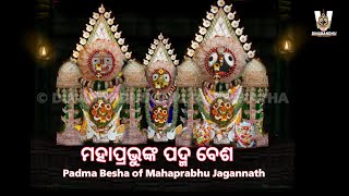 Padma Besha of Mahaprabhu Jagannath 2023। ମହାପ୍ରଭୁଙ୍କ ପଦ୍ମ ବେଶ 2023।