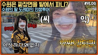 수원의 딸! 수원 토박이! 도레미의 어린시절 추억의 동네 투어 #VLOG