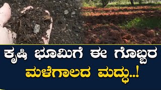 ಮಳೆಗಾಲದಲ್ಲಿ ಕೃಷಿಭೂಮಿಗೆ ಕೋಳಿ ಗೊಬ್ಬರ ಬೇಕೆಬೇಕು | How to use chicken manure? #poultrymanure