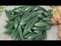 vegetables ఈరోజు చెన్నై మార్కెట్ లో కూరగాయల ధరలు today vegetable rates inchennai koyambedu market