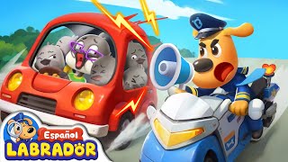 🔍Sheriff Labrador - Peligroso Auto Sobrecargado 🚗🚘 | Videos para Niños | BabyBus Español