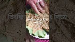 চিংড়ি  মাছের সং দিয়ে লাউপাতা দিয়ে রেসিপি